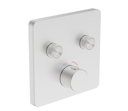 EW40391 Externer Sichtteil-Thermostatmischer mit 2 Ausgängen